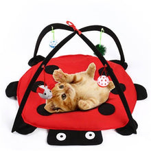 Load image into Gallery viewer, 2 in 1 Cat Pet Toy With Ball And Cat Tent Hammock for Kitten Interactive Play Toys Mouse Game for Kat Cat Teaser Animal Products